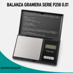 BALANZA GRAMERA SERIE P258 0.01