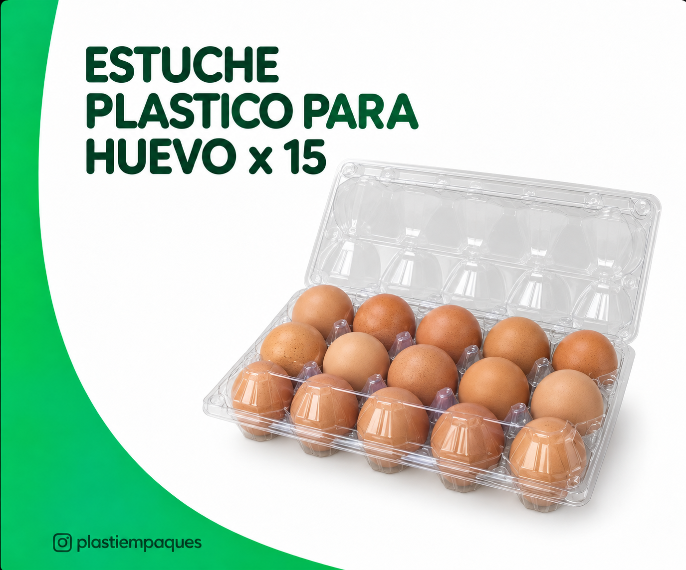 ESTUCHE PLASTICO PARA HUEVOS ESTUCHE PLASTICO PARA HUEVO - Imagen 1